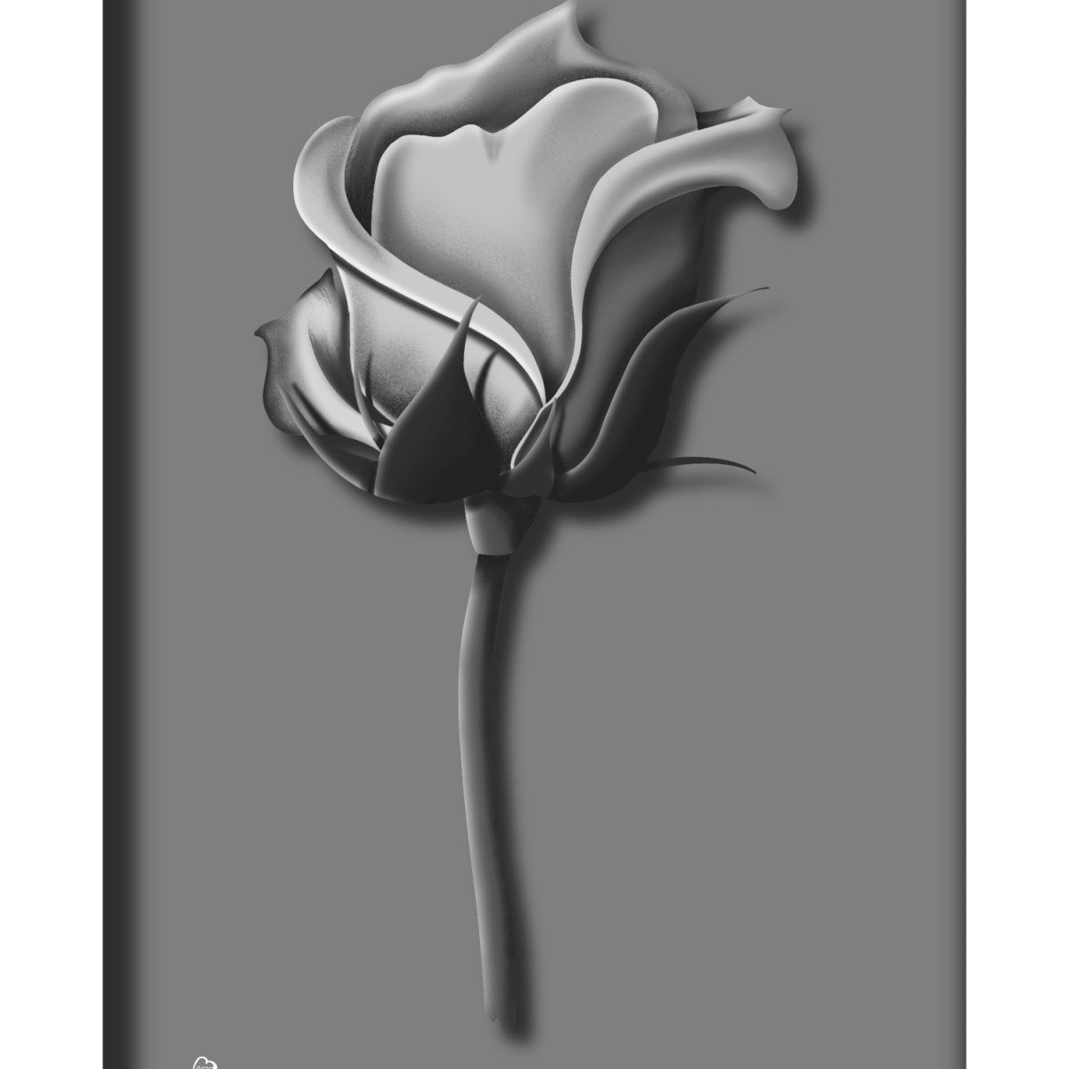 Grey pride – finding positive body image and the importance of passing it&nbsp;on